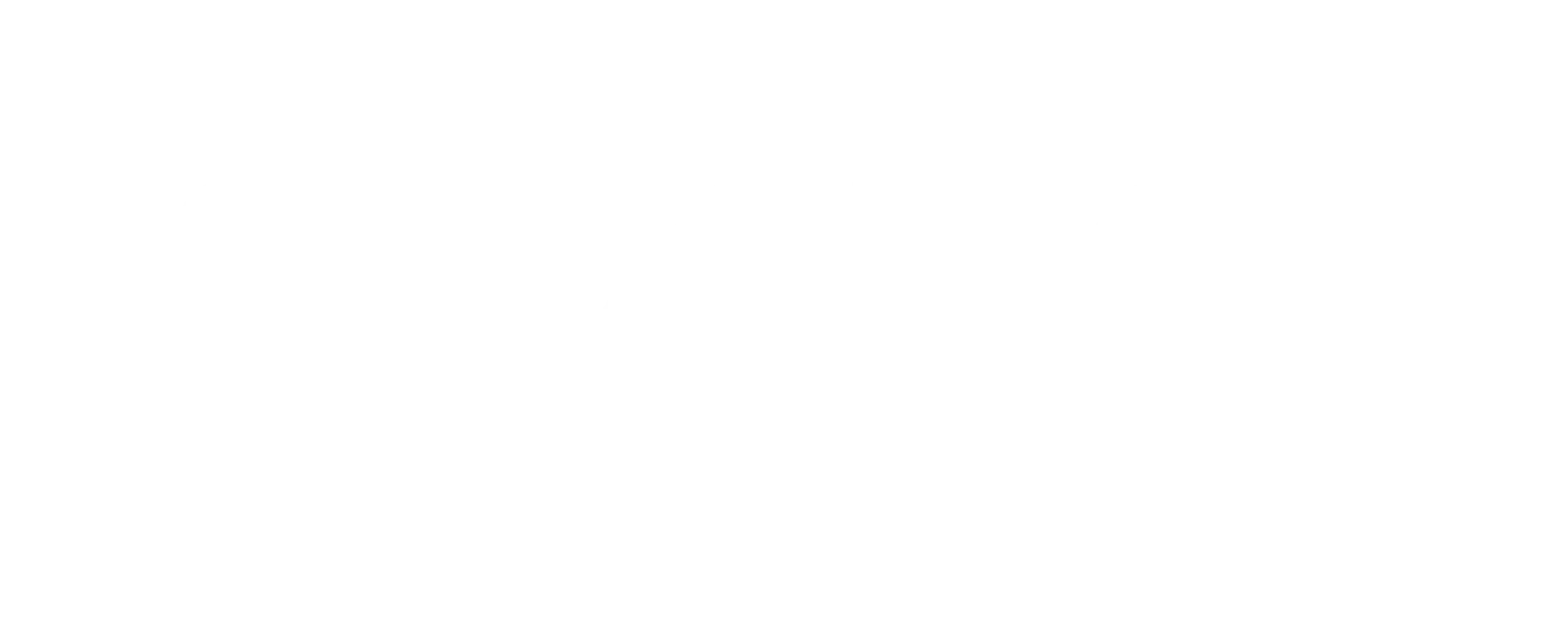 Sebotics_Corporate_Logo_Weiss2