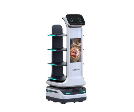 Mars Smartbot