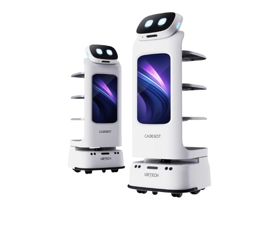 Sebotics Cadebot