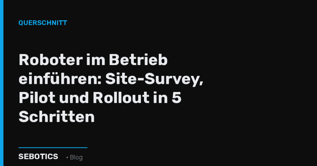 Roboter einführen: Pilot und Rollout – SEBOTICS