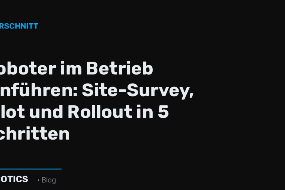 Roboter einführen: Pilot und Rollout – SEBOTICS